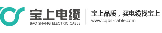 重慶蜜桃免费视频网站