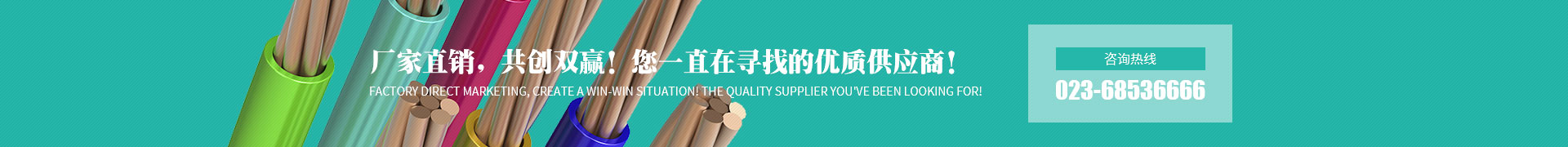 重慶蜜桃免费视频网站廠