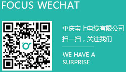 重慶蜜桃免费视频网站